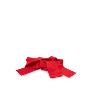 Sara Roka Women Ribbon Belt